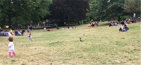 パリのMonceau公園でのある週末の風景。多くの人がピクニックに来ていたが、マスクを着用しているのは少数派。ソーシャルディスタンスも正しく維持されているとはいえない