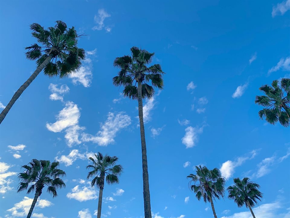 在洛杉磯自言自語〜L.A.独白　第3回 ――マイノリティーにも配慮を！ コロナ渦で感じる心細さ