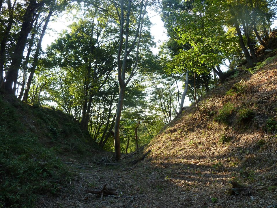 清水山城の堀切(2012年10月) 清水山城の堀切(2012年10月)